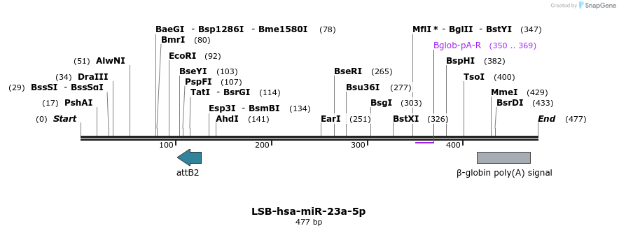 240232_map