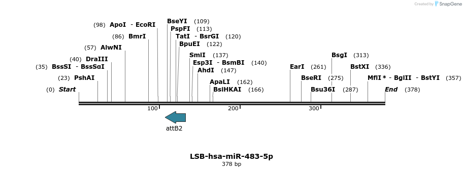 240235_map