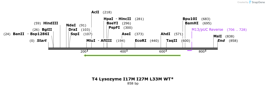 24025_map