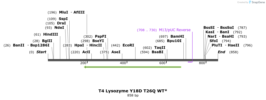 24026_map