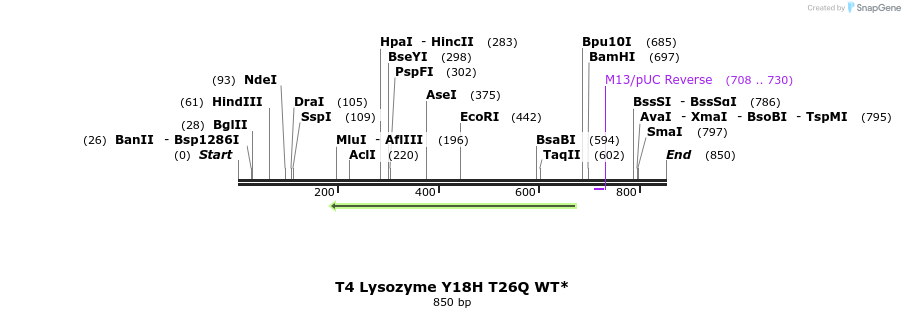 24027_map