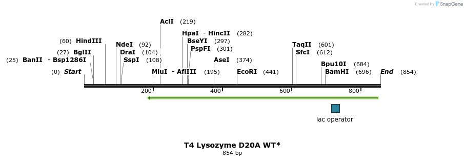 24028_map
