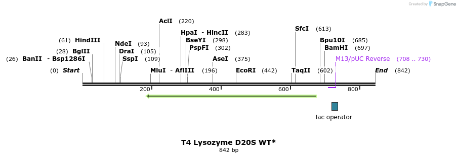24029_map