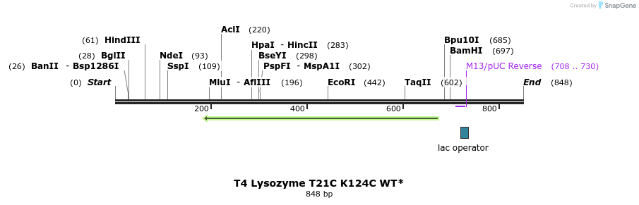 24030_map