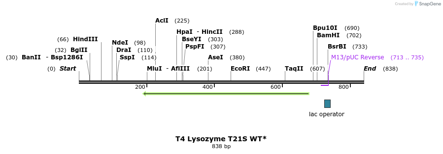 24033_map