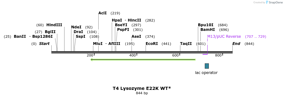 24034_map