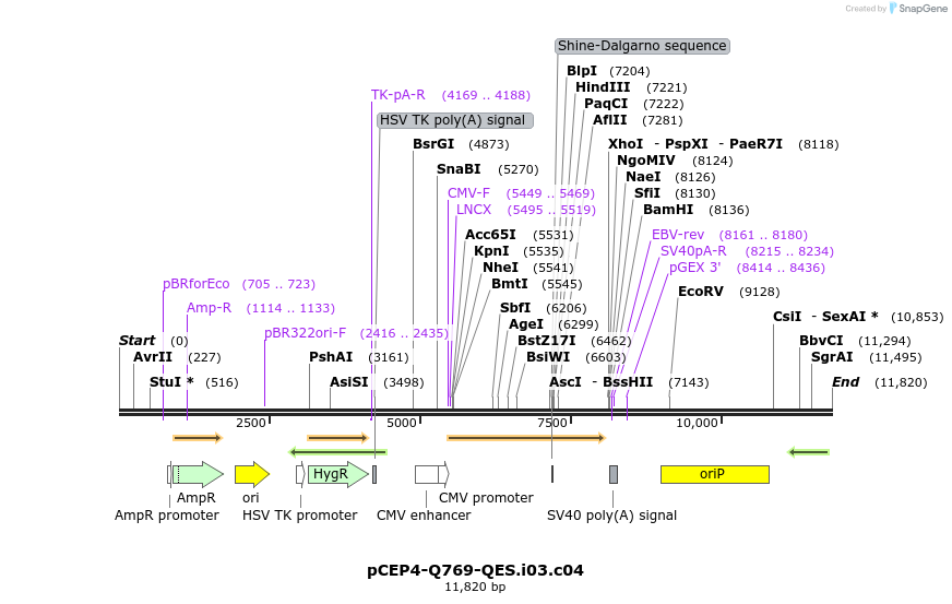 240352_map