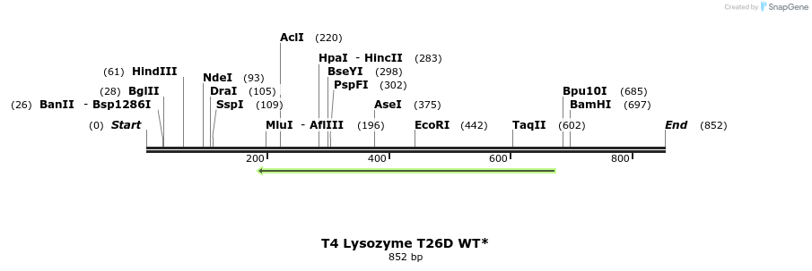 24036_map