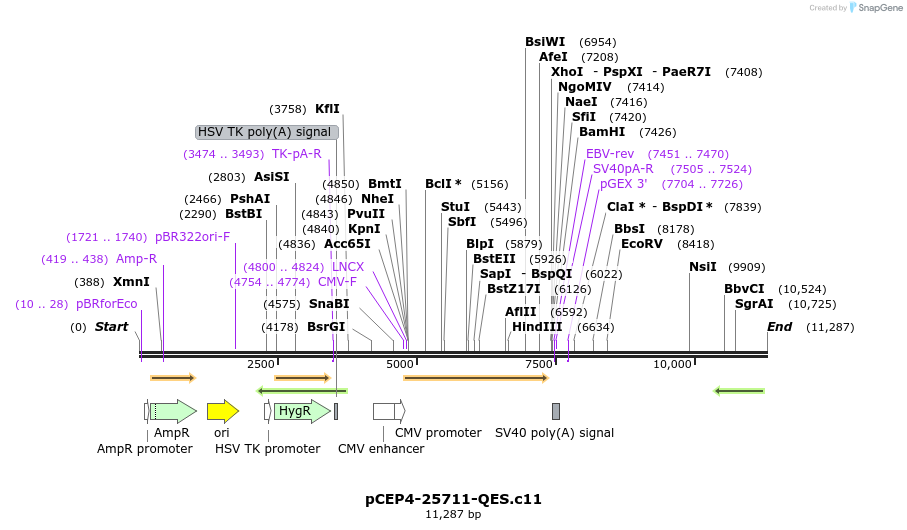 240373_map