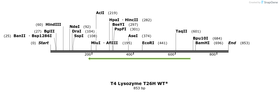 24038_map
