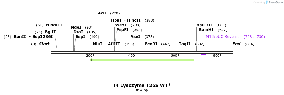 24040_map