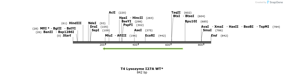 24041_map