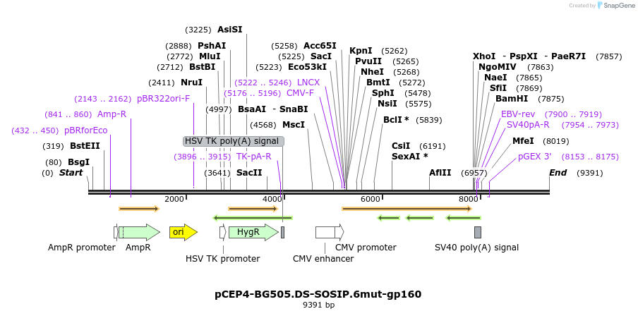 240413_map