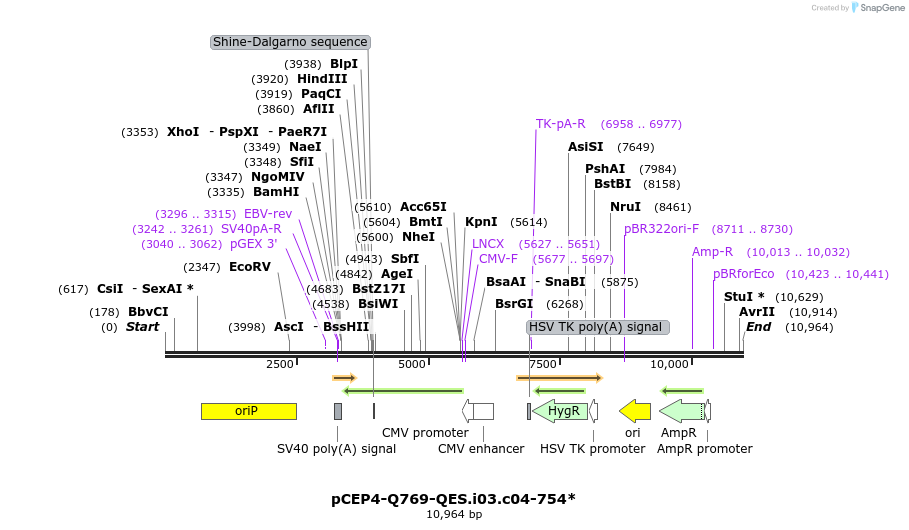 240417_map