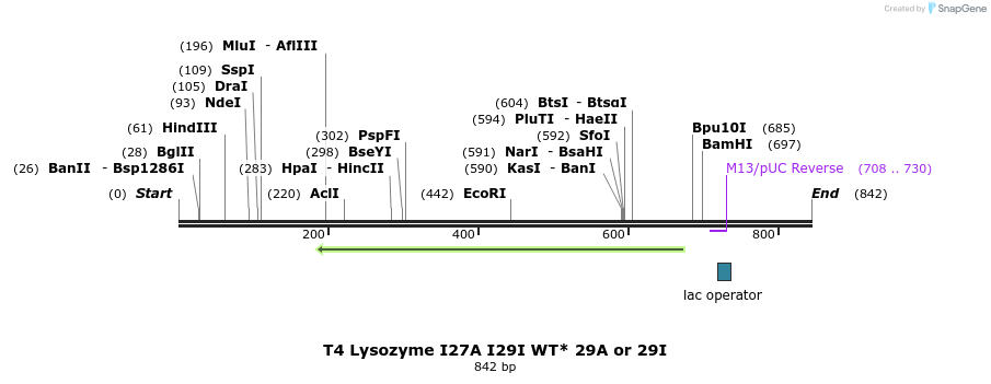 24046_map