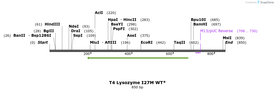 24047_map