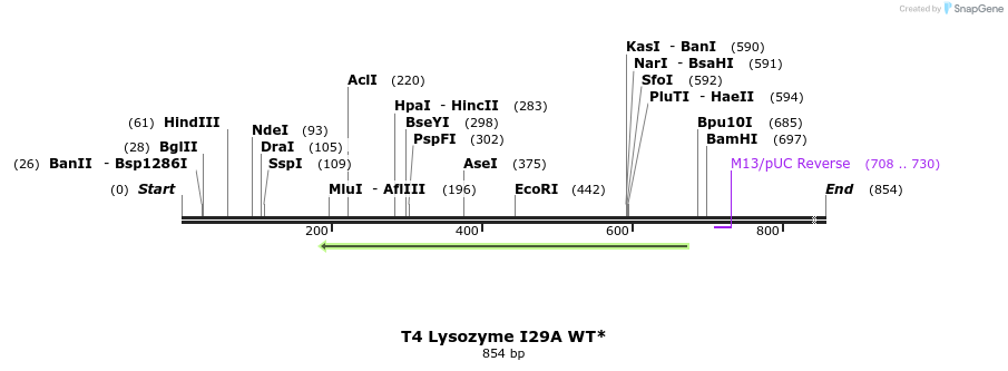 24049_map