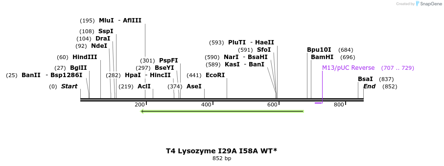 24050_map