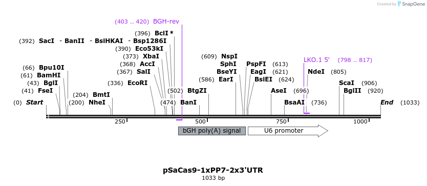 240530_map
