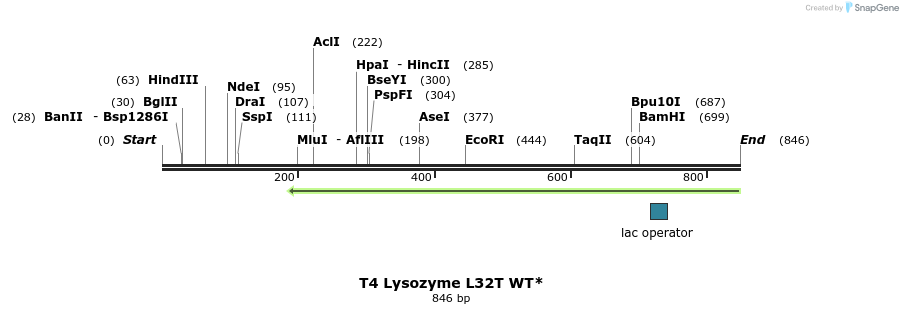 24054_map