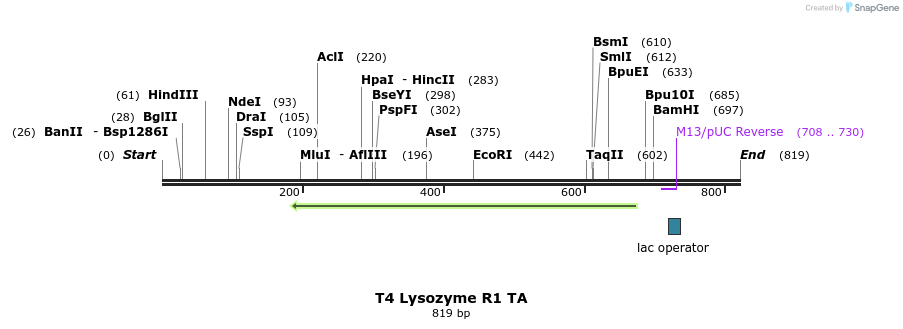 24055_map