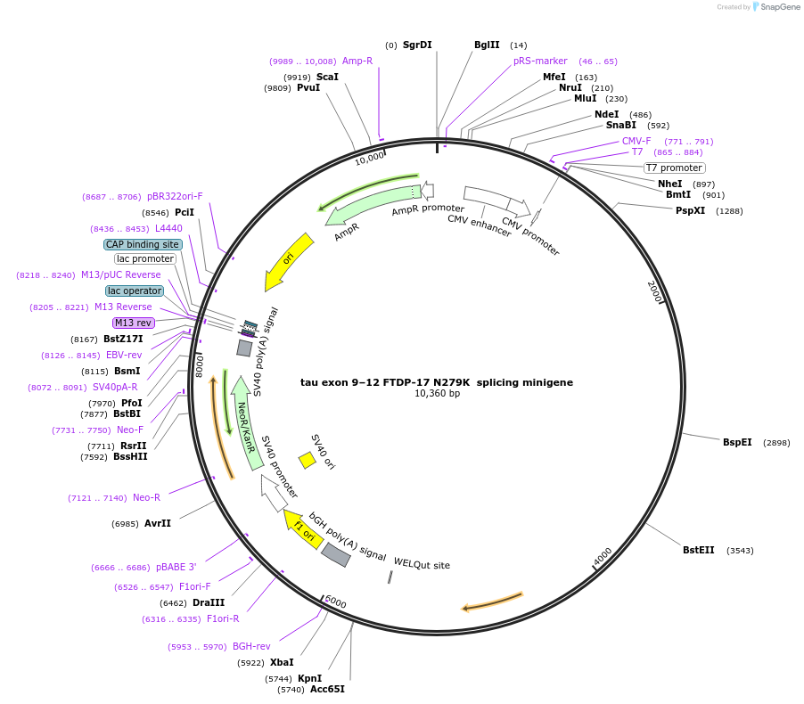 240551_map