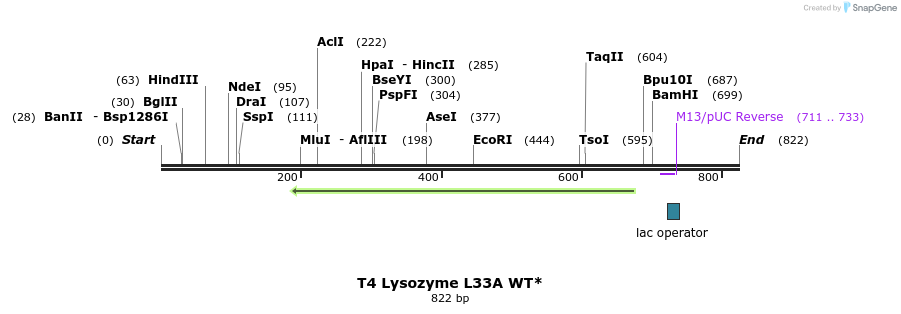 24056_map