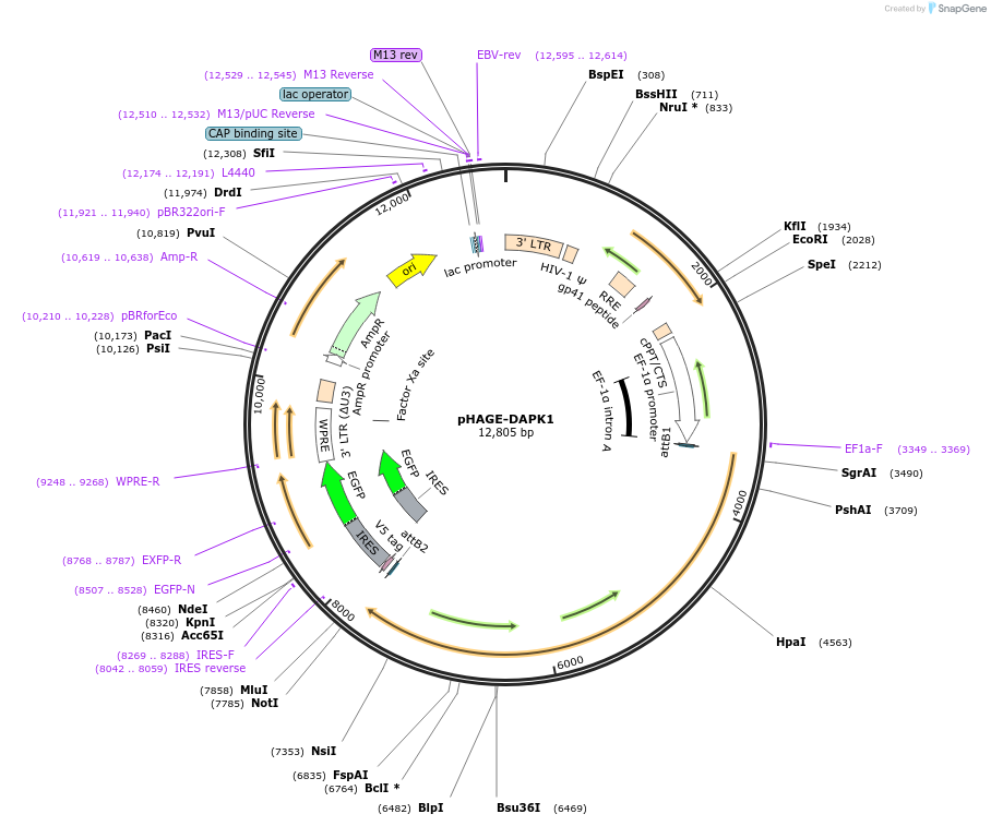 240572_map