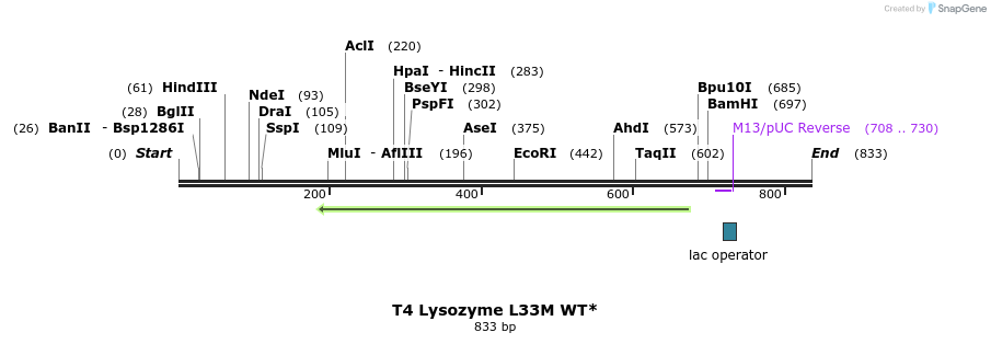 24058_map