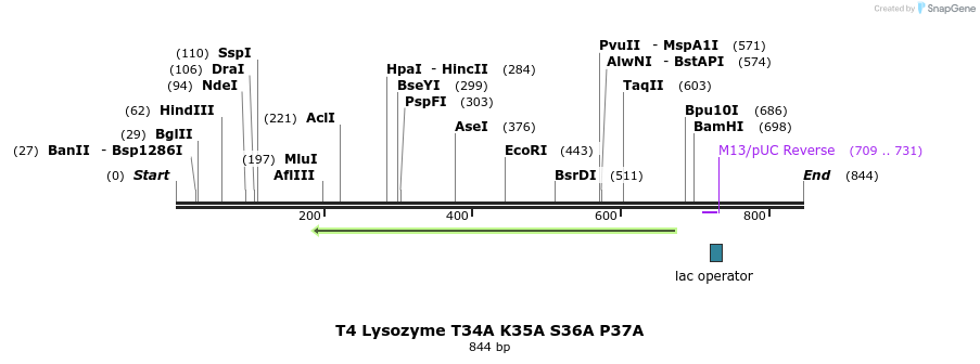24059_map