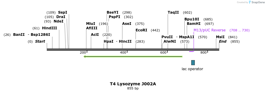 24060_map