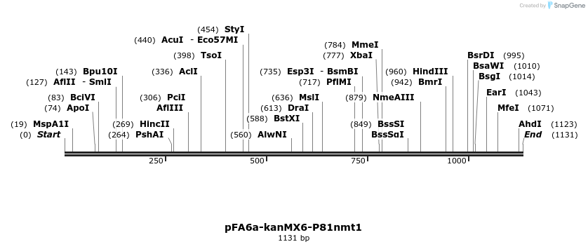 240601_map