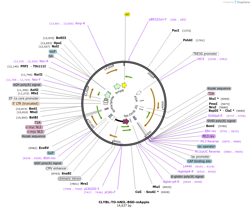 240604_map