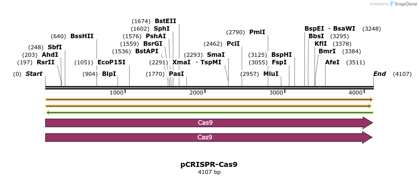 240614_map
