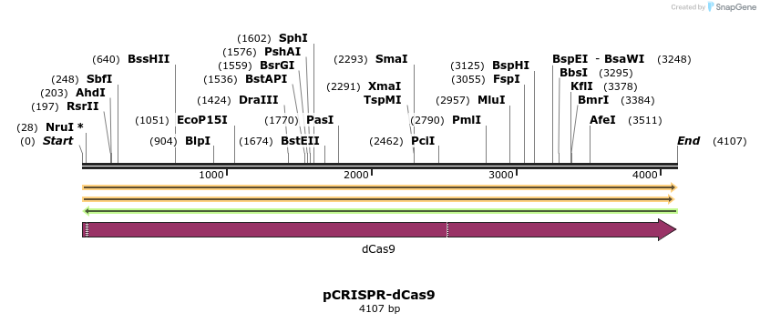 240619_map