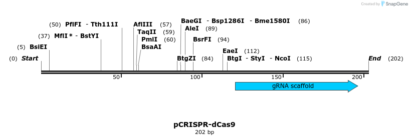 240620_map