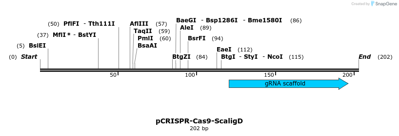 240623_map
