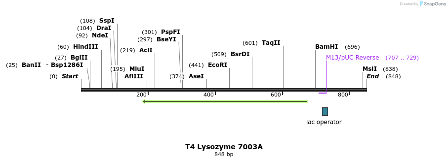 24065_map