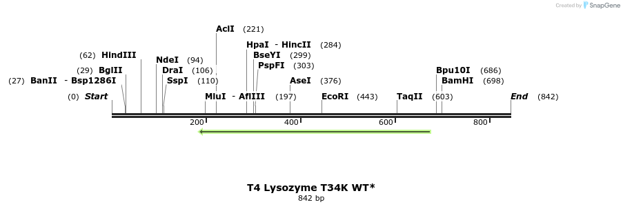 24066_map