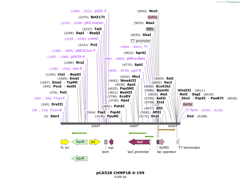 240665_map