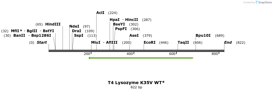 24067_map