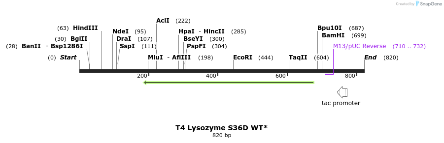 24068_map