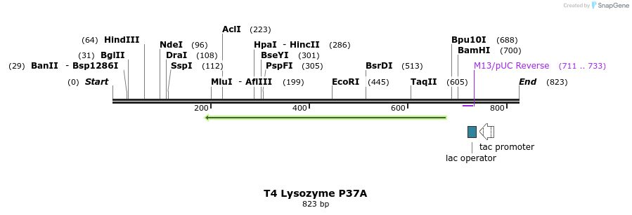 24069_map