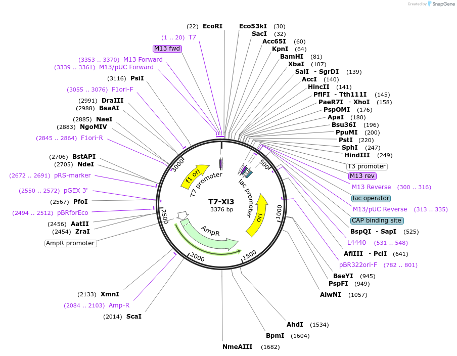 240712_map