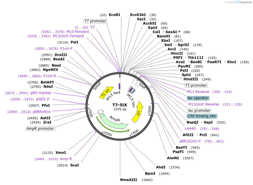 240714_map