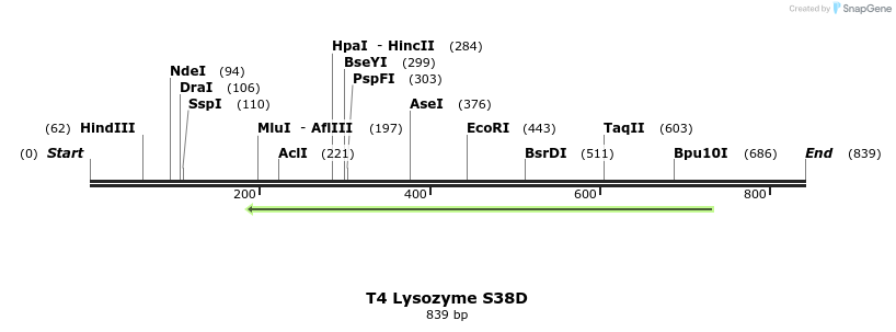 24073_map