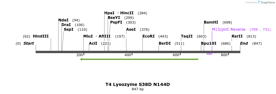 24074_map