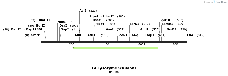 24075_map