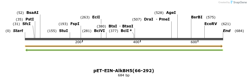 240753_map