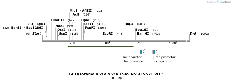 24081_map